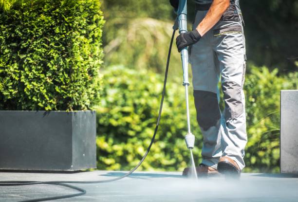 Animal Enclosure Cleaning in Escalon, CA